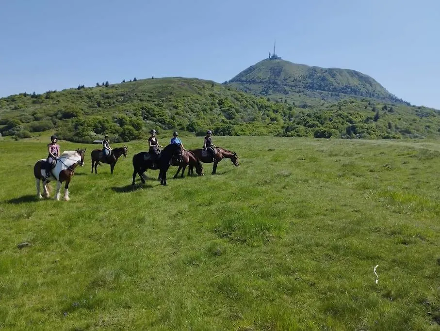 Le Bosquet Des Domes - Panorama Des Puys A Cheval Villa Chatel-Guyon 0*,
