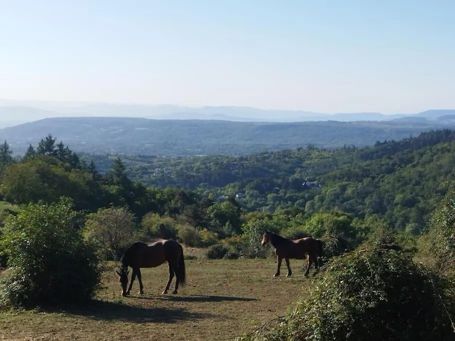 Le Bosquet Des Domes - Panorama Des Puys A Cheval Villa Chatel-Guyon Holiday home