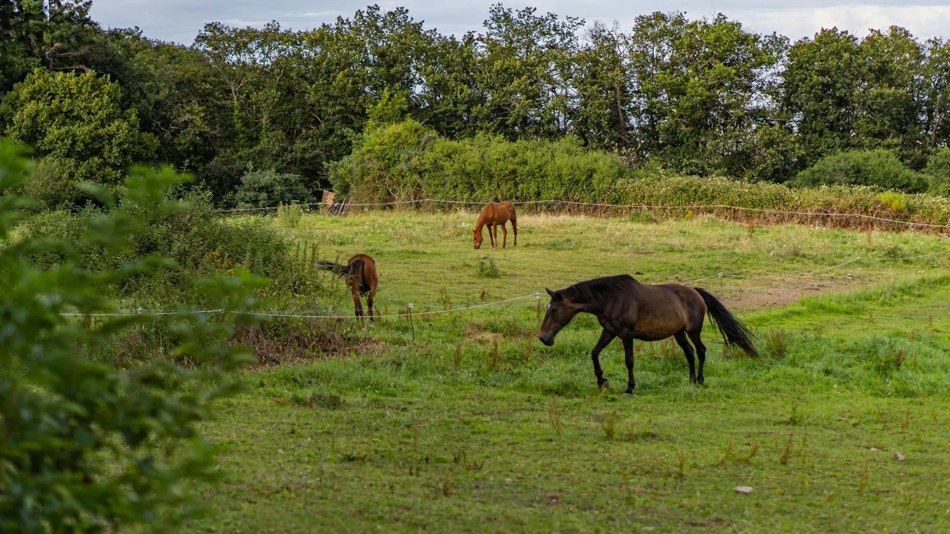 Le Bosquet Des Domes - Panorama Des Puys A Cheval Villa Chatel-Guyon Holiday home